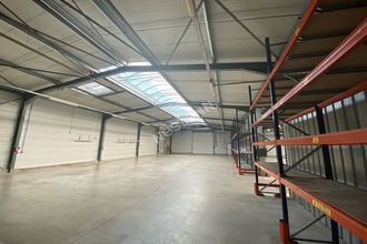  localcommercial folkling 57600