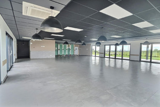  localcommercial folkling 57600