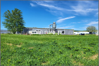  localcommercial gaillac 81600