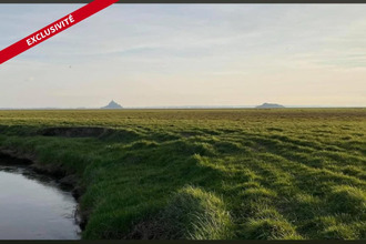  localcommercial genets 50530