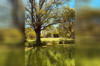  localcommercial guerande 44350