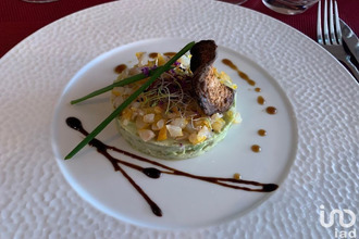  localcommercial la-ferte-st-aubin 45240