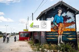  localcommercial la-tremblade 17390