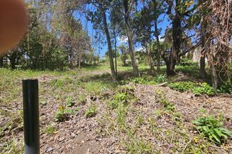  localcommercial lamentin 97232