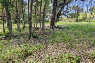  localcommercial lamentin 97232