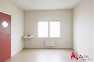  localcommercial lattes 34970