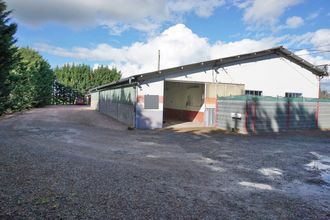  localcommercial le-pin 03130