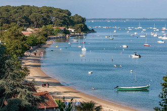  localcommercial lege-cap-ferret 33950