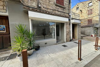  localcommercial levie 20170