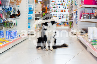  localcommercial meximieux 01800