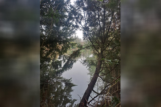  localcommercial mezieres-sur-oise 02240