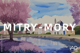  localcommercial mitry-mory 77290