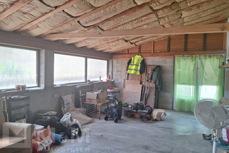  localcommercial mtazels 11190