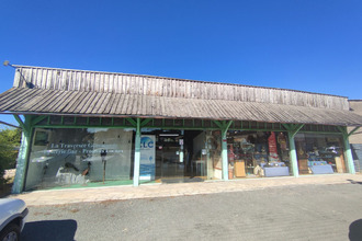  localcommercial mtcaret 24230