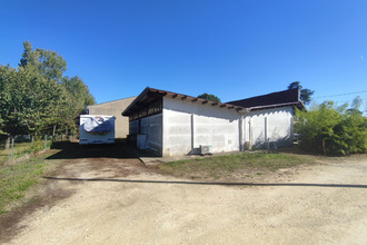  localcommercial mtcaret 24230