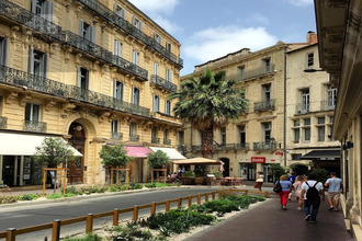  localcommercial mtpellier 34000