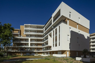  localcommercial mtpellier 34000