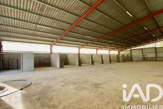  localcommercial nerac 47600