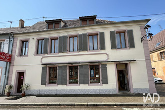  localcommercial neuf-brisach 68600