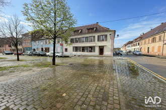  localcommercial neuf-brisach 68600