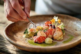  localcommercial perpignan 66000