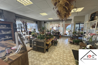  localcommercial phalsbg 57370