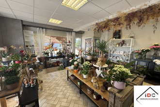  localcommercial phalsbg 57370