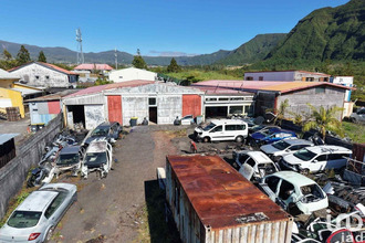  localcommercial plaine-des-palmistes 97431