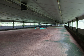  localcommercial plevin 22340