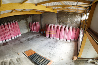  localcommercial pluguffan 29700