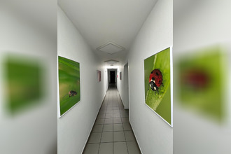  localcommercial poulx 30320