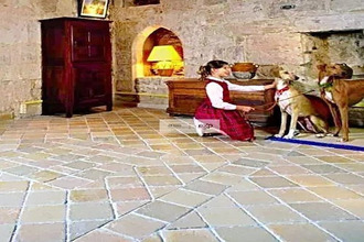  localcommercial puylaroque 82240