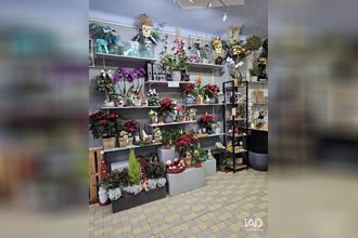  localcommercial rehon 54430