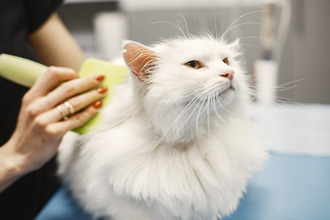  localcommercial retiers 35240