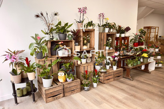  localcommercial riaille 44440