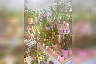  localcommercial roscoff 29680