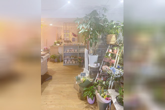  localcommercial roscoff 29680