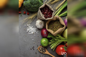  localcommercial salavas 07150