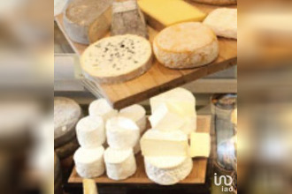  localcommercial salavas 07150