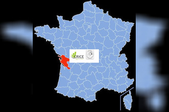  localcommercial saujon 17600