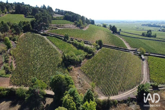  localcommercial savigny-les-beaune 21420