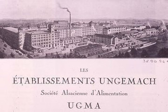  localcommercial schiltigheim 67300