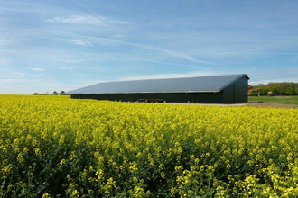  localcommercial segreville 31460