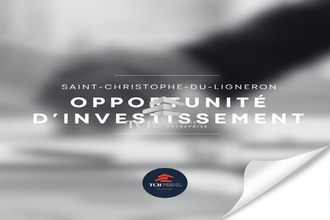  localcommercial st-christophe-du-ligneron 85670