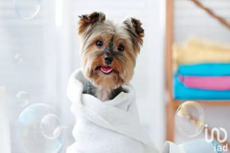  localcommercial st-ouen-l-aumone 95310