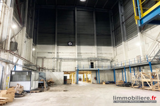  localcommercial ste-marie-aux-mines 68160