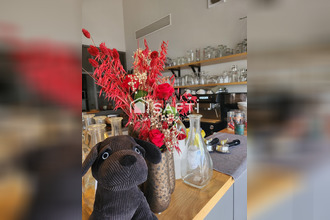  localcommercial talmt-st-hilaire 85440