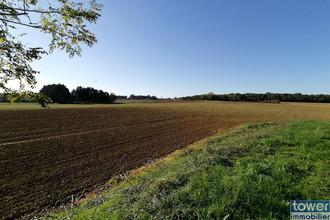  localcommercial toulouse 31000