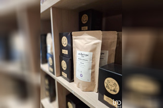  localcommercial tours 37000