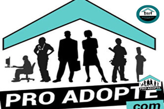  localcommercial trois-bassins 97434